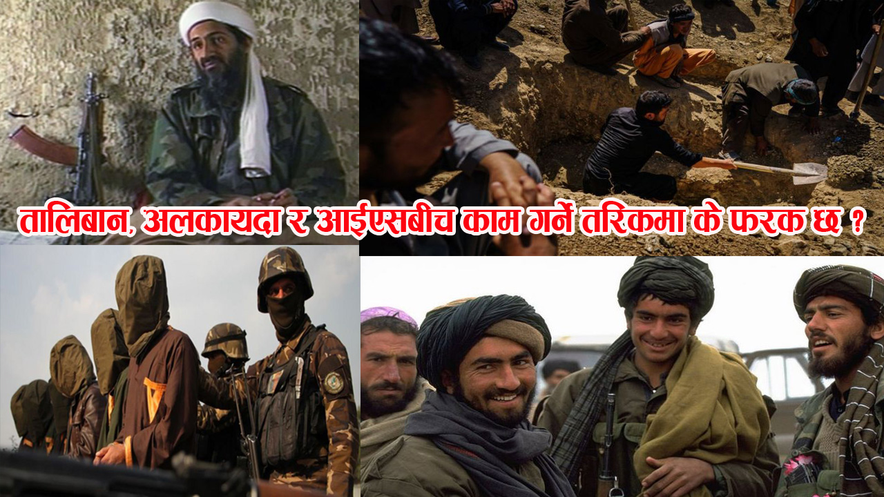 तालिबान, अलकायदा र आईएसबीच फरक के छ ?